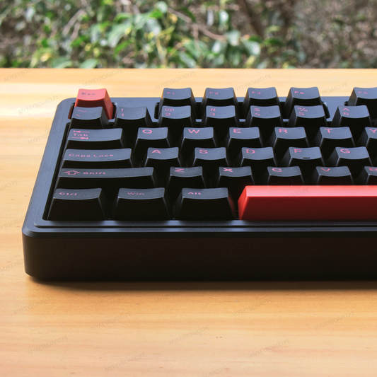 PMOKEY Aurora 80 Pro