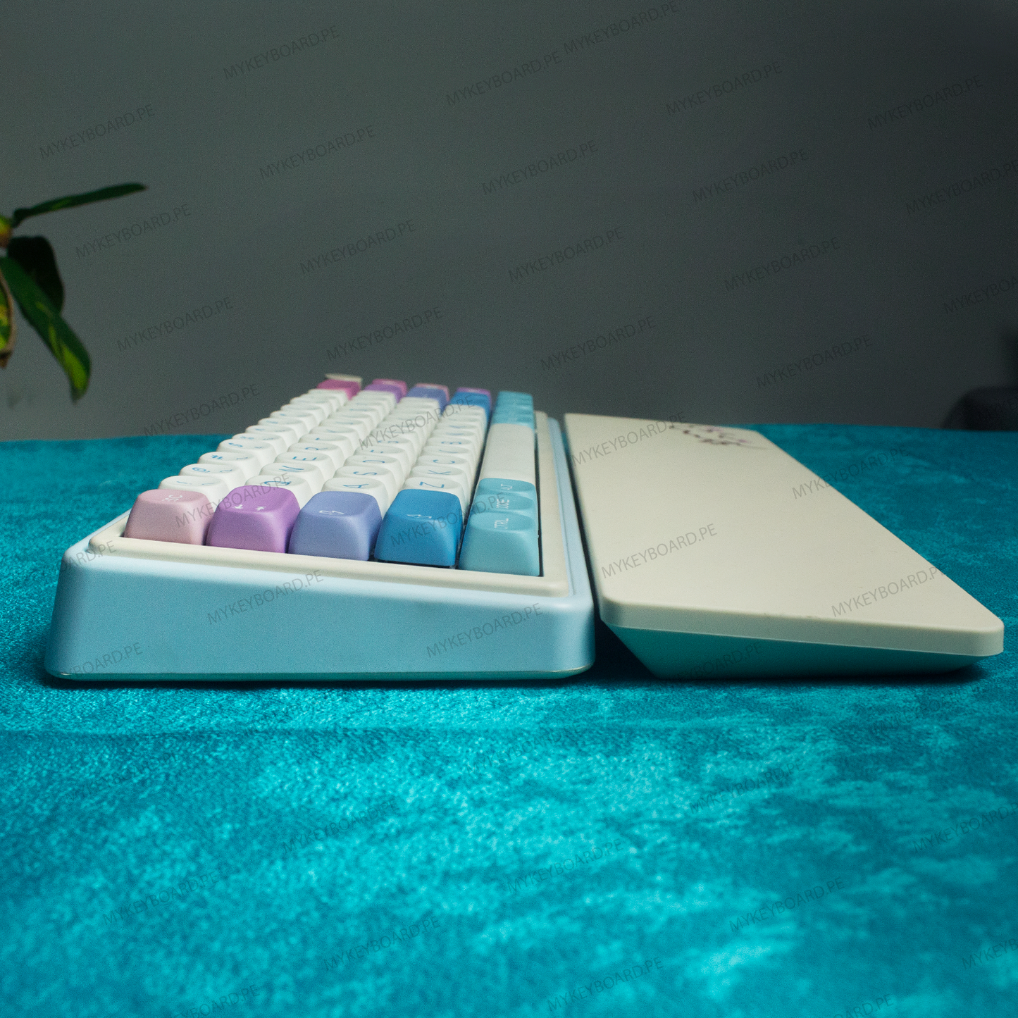 CIDOO NEBULA Custom