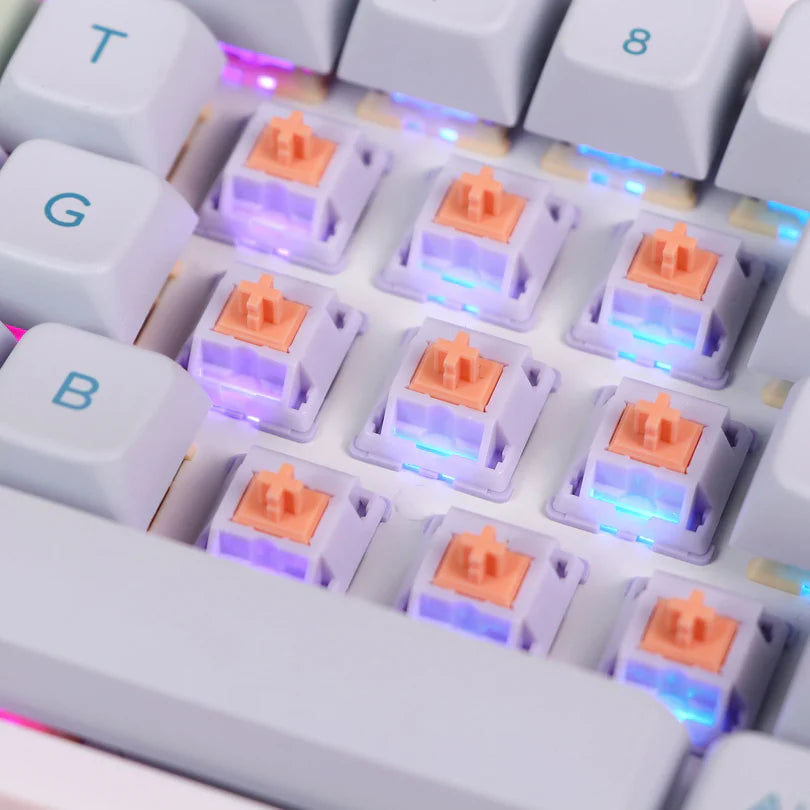 Switches EPOMAKER Wisteria Tactile (100 und)