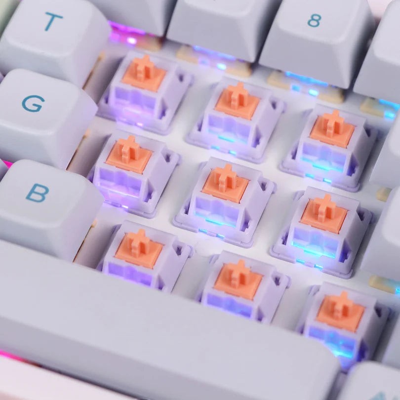 Switches táctiles MyKeyboard EPOMAKER Wisteria con housing morado y stem naranja instalados en teclado mecánico